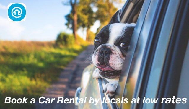 Car Rentals Car Rentals